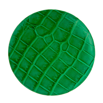Hermes Matte Alligator Petit H Pin Brooch Cactus 1 of 4