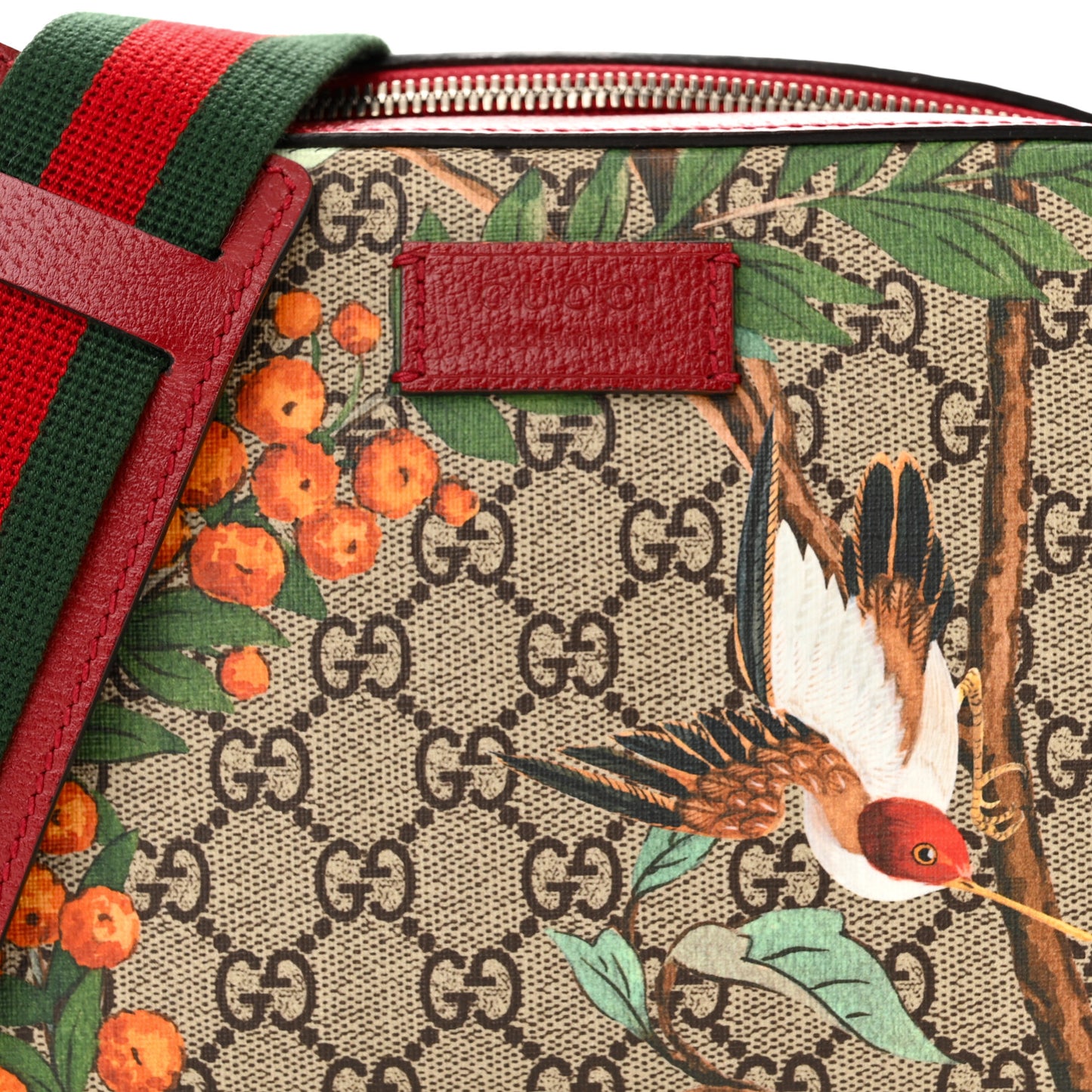 GG Supreme Monogram Tian Web Camera Bag Beige Multicolor Red