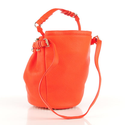 Alexander Wang Pebbled Lambskin Diego Bucket Bag Tang Gold Hardware 3 of 8