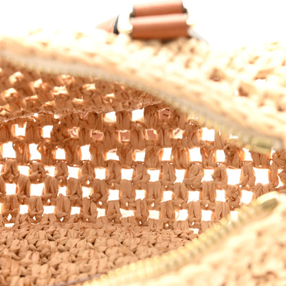 Louis Vuitton Raffia Nano Speedy Natural Tan 5 of 10