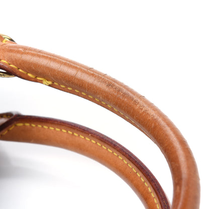 Louis Vuitton Monogram Ellipse PM 29 of 35