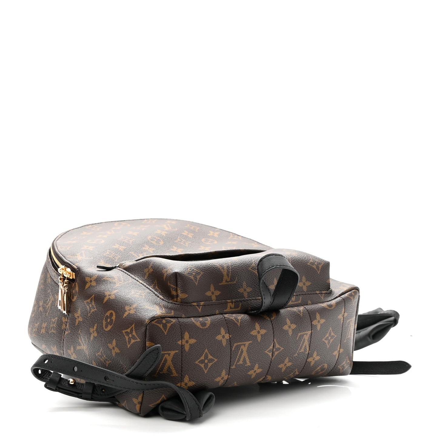 Monogram Palm Springs Backpack MM