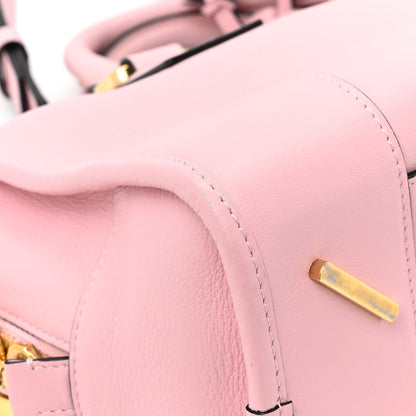 Loewe Calfskin Amazona 23 Pink 10 of 16