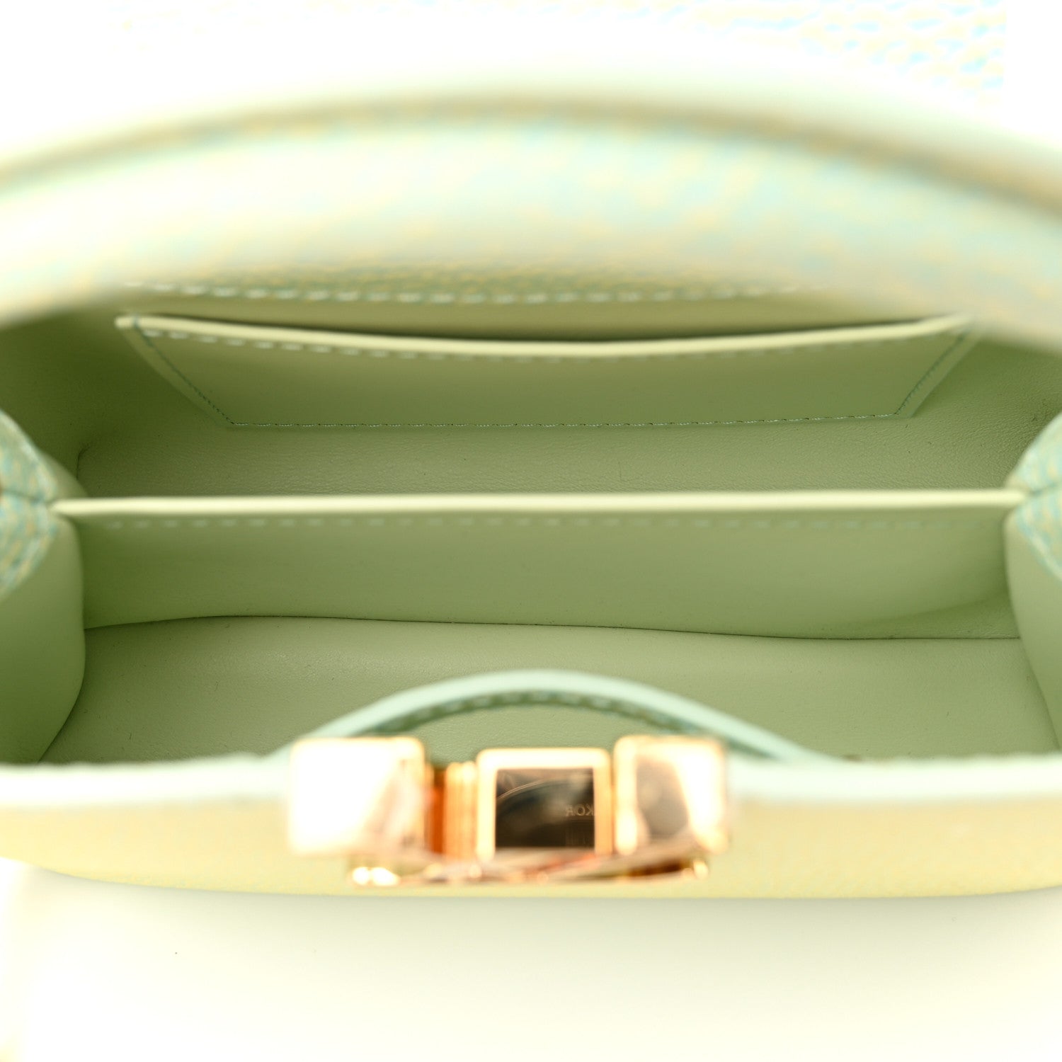 Louis Vuitton Taurillon Summer Stardust Mini Capucines Vert D'eau 5 of 10