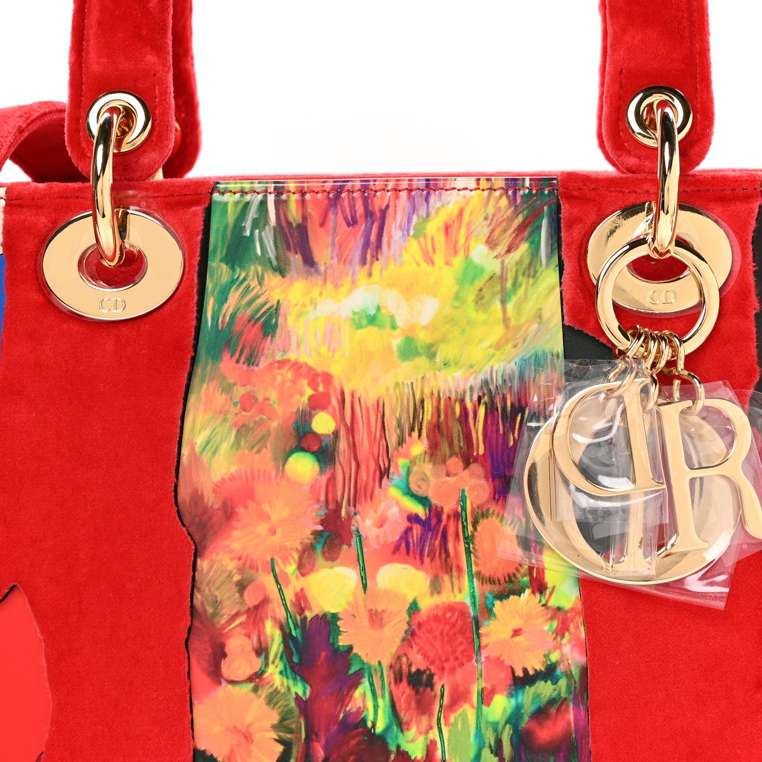 Christian Dior X SHARA HUGHES Velvet Calfskin Printed Medium Lady