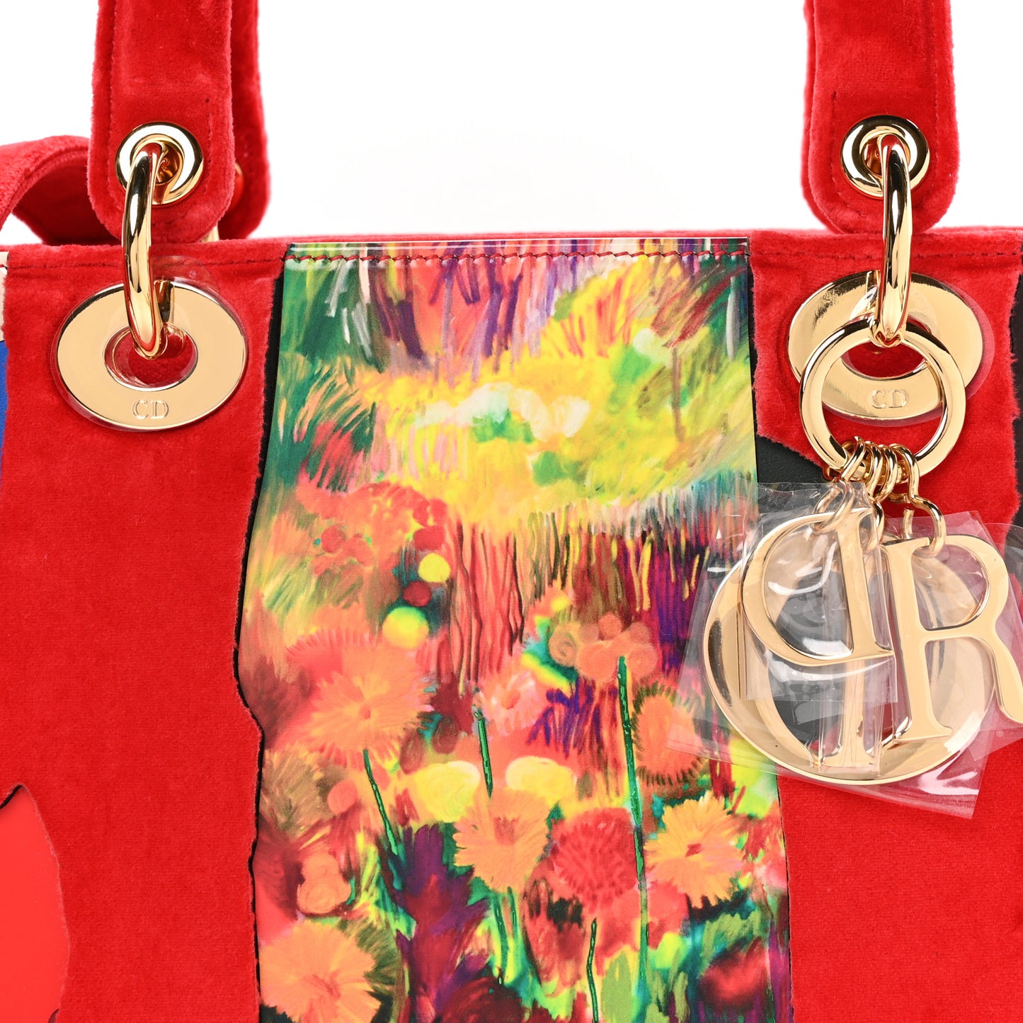 X SHARA HUGHES Velvet Calfskin Printed Medium Lady Dior Art Red Multicolor
