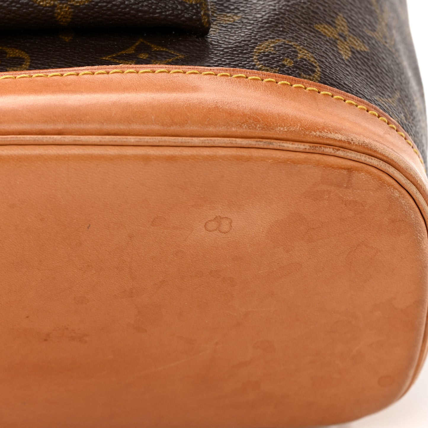 Monogram Montsouris GM Backpack