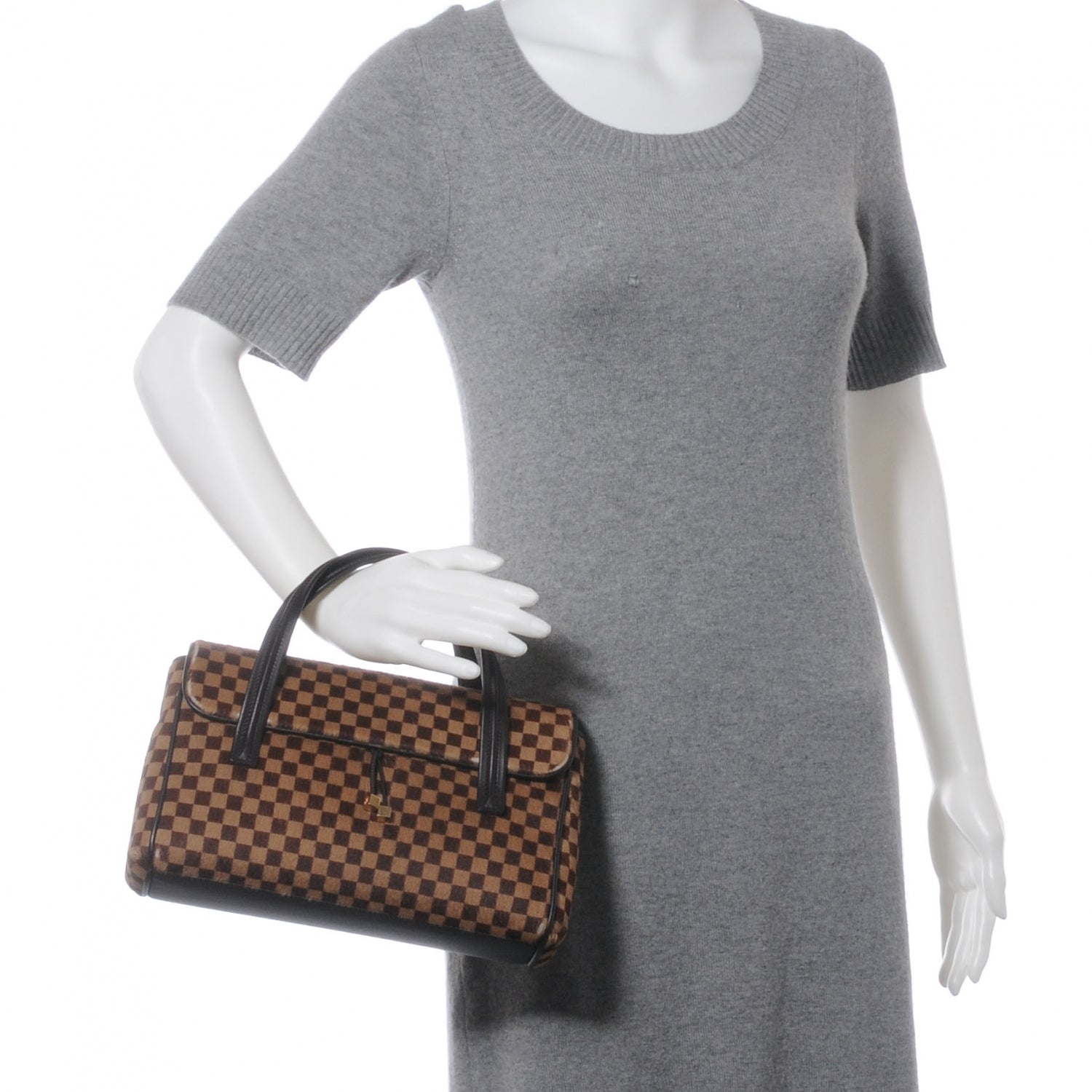 Louis Vuitton Damier Sauvage Lionne 2 of 10