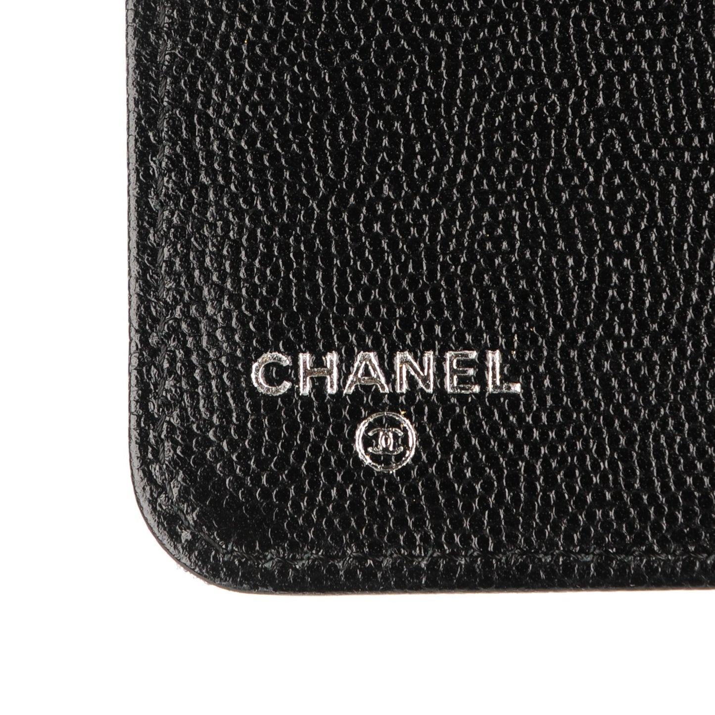 Caviar Sevruga iPad Case Black
