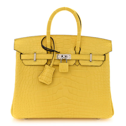 Hermes Matte Alligator Birkin 25 Mimosa 1 of 10