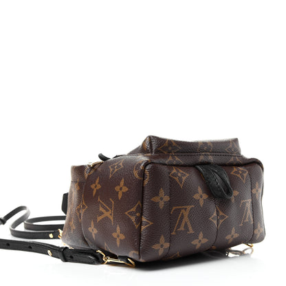 Louis Vuitton Monogram Palm Springs Backpack Mini 4 of 6
