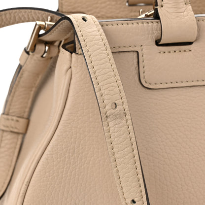 Moynat Taurillon Gex Pauline Tote Beige 9 of 11