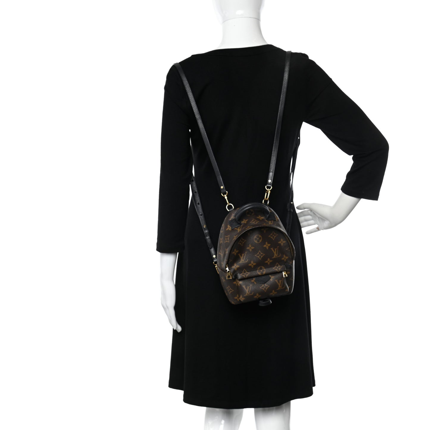 Monogram Palm Springs Backpack Mini