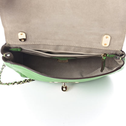 Mulberry Glossy Goatskin Small Lily Flap Grass Green 7 of 10