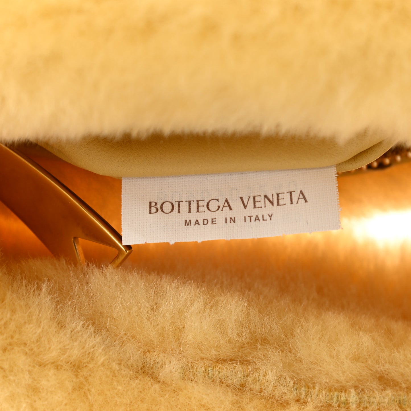 Shearling Lambskin Mini Jodie Teddy