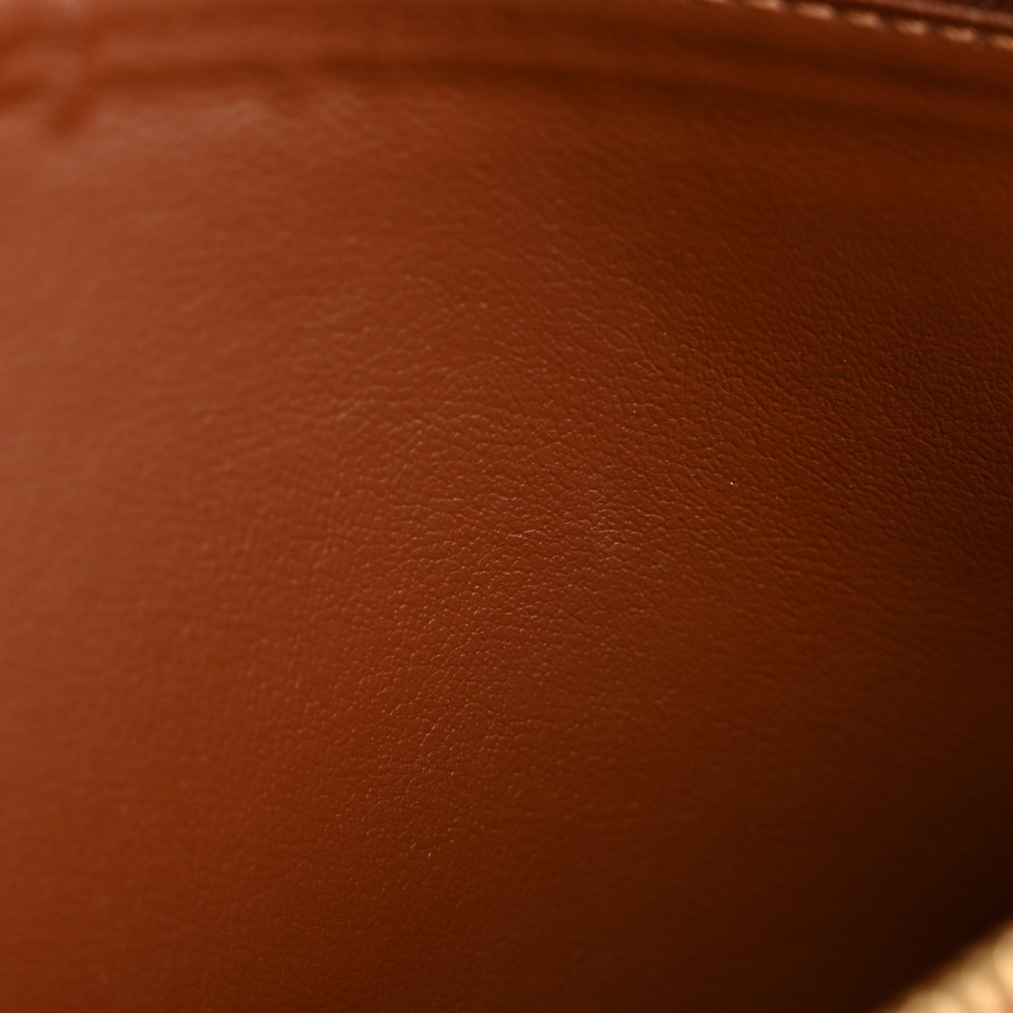 Monogram Insolite Wallet