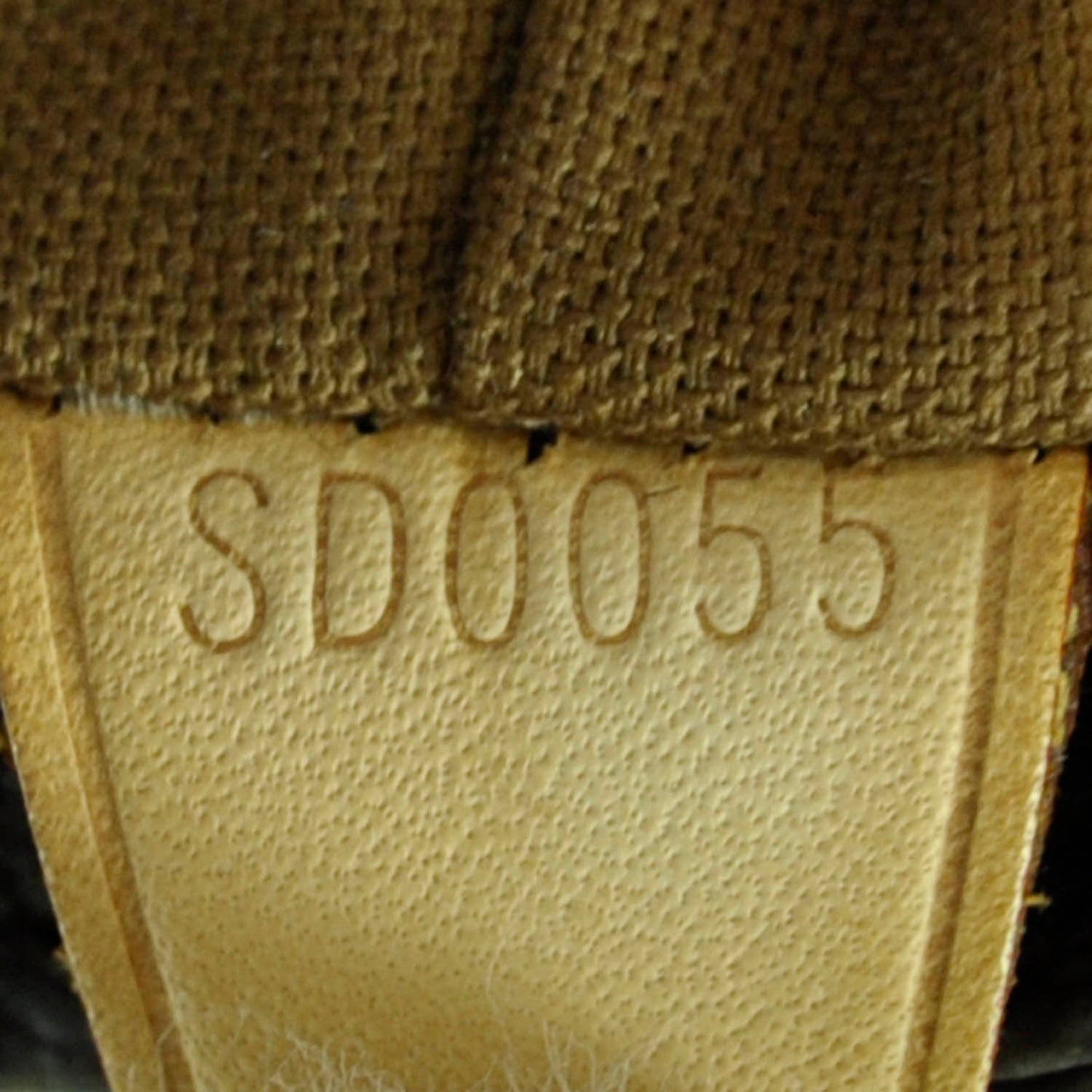 Monogram Cabas Mezzo