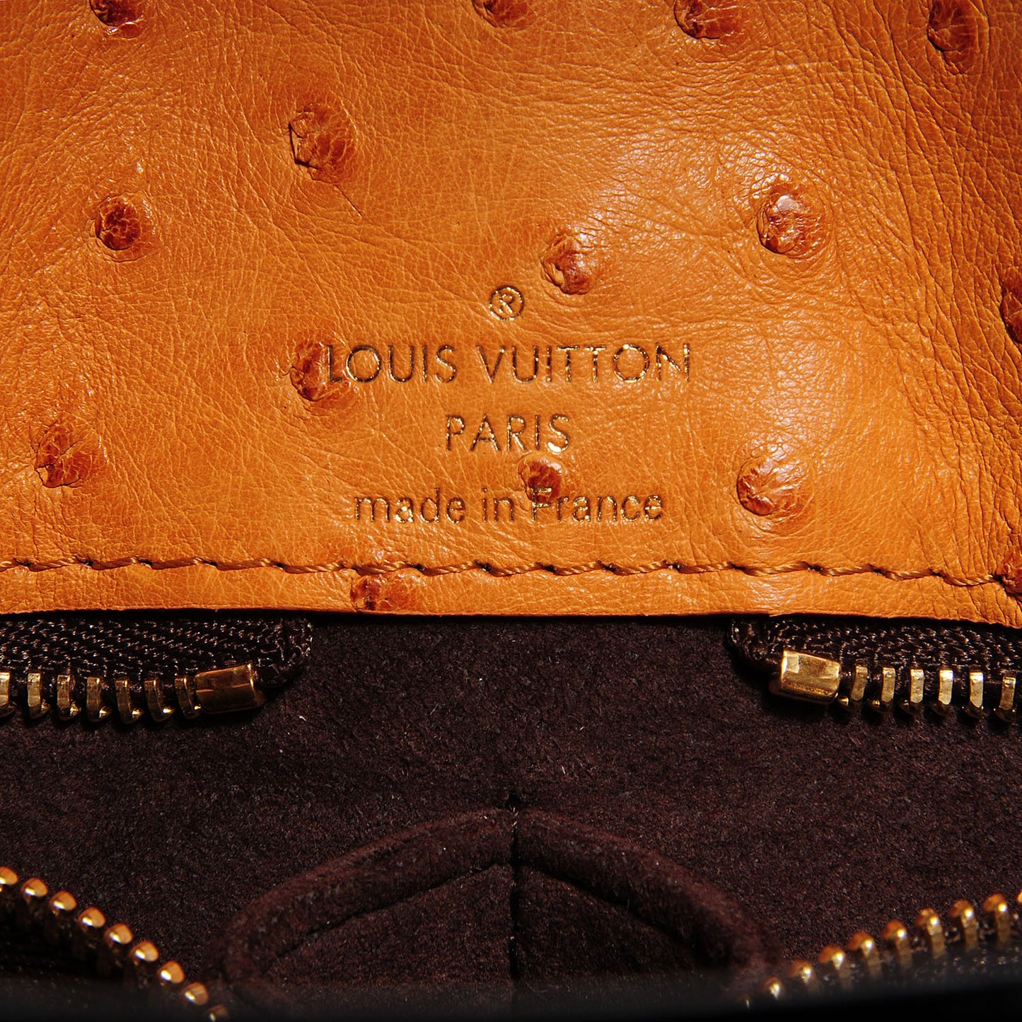 Monogram Etoile Exotique MM Blue