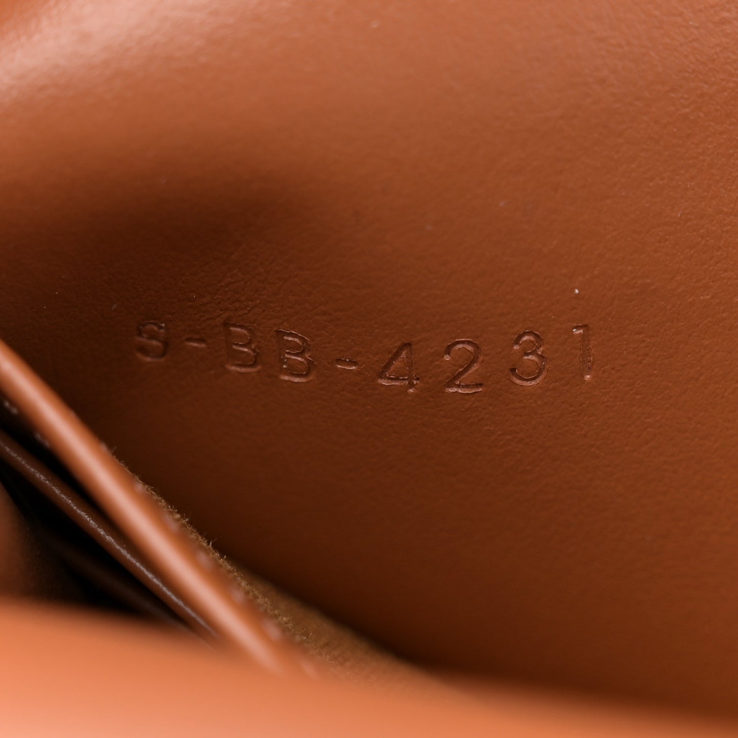 Triomphe Canvas Lambskin Wallet On Strap Tan