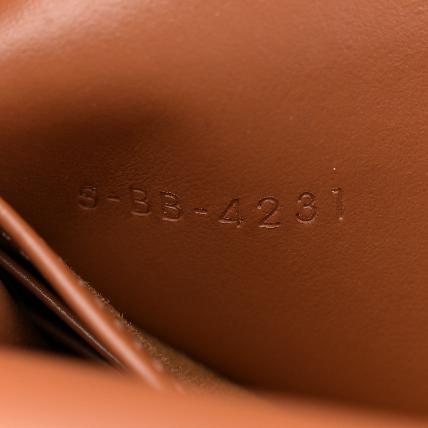 Celine Triomphe Canvas Lambskin Wallet On Strap Tan 9 of 17