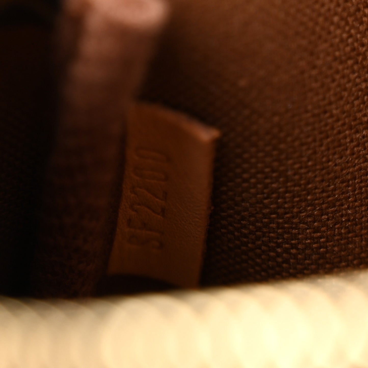 Monogram Mini Pochette Accessories