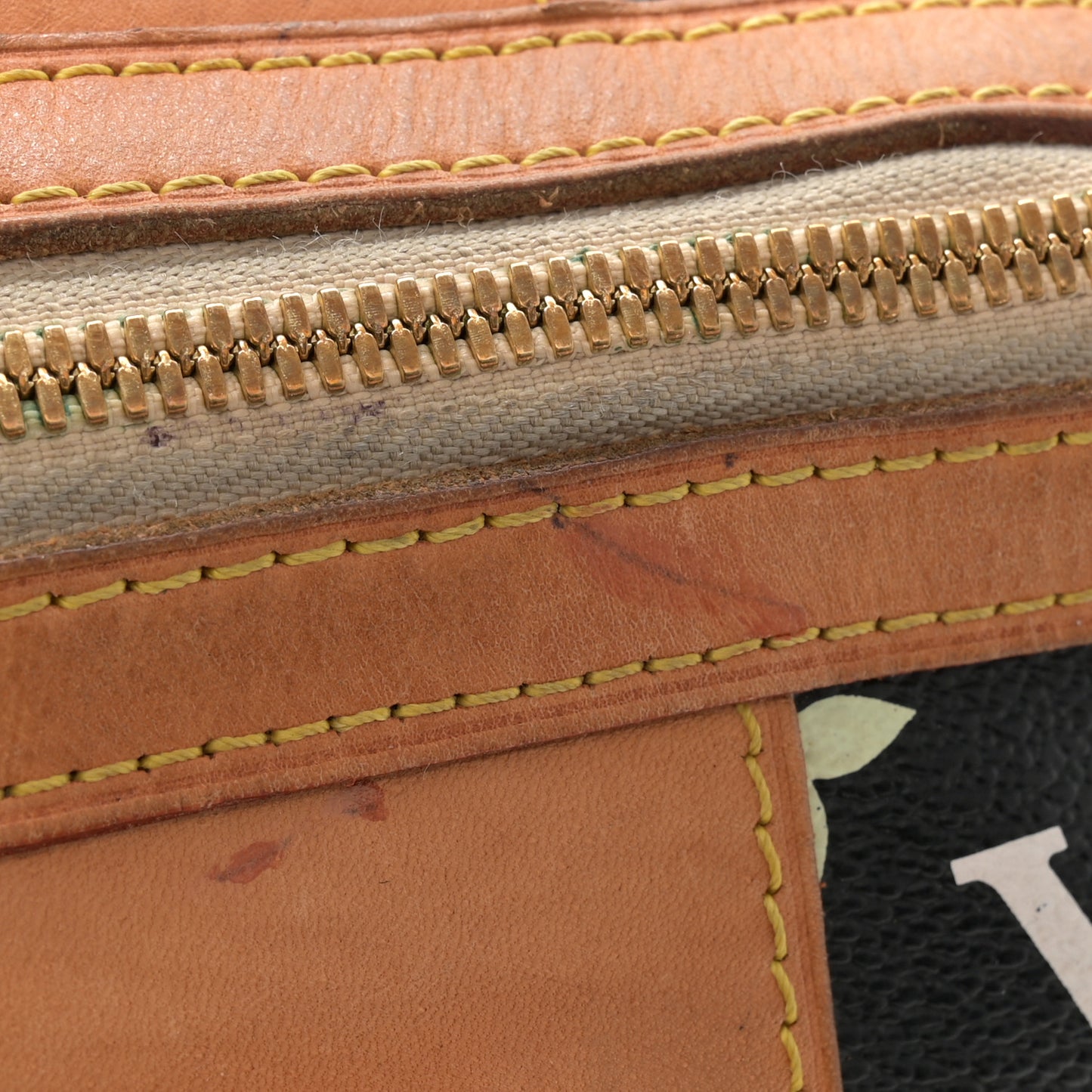 Monogram Multicolor Courtney GM Black