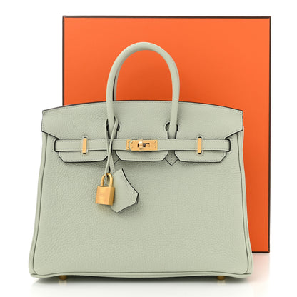 Hermes Togo Birkin 25 Gris Neve 11 of 11