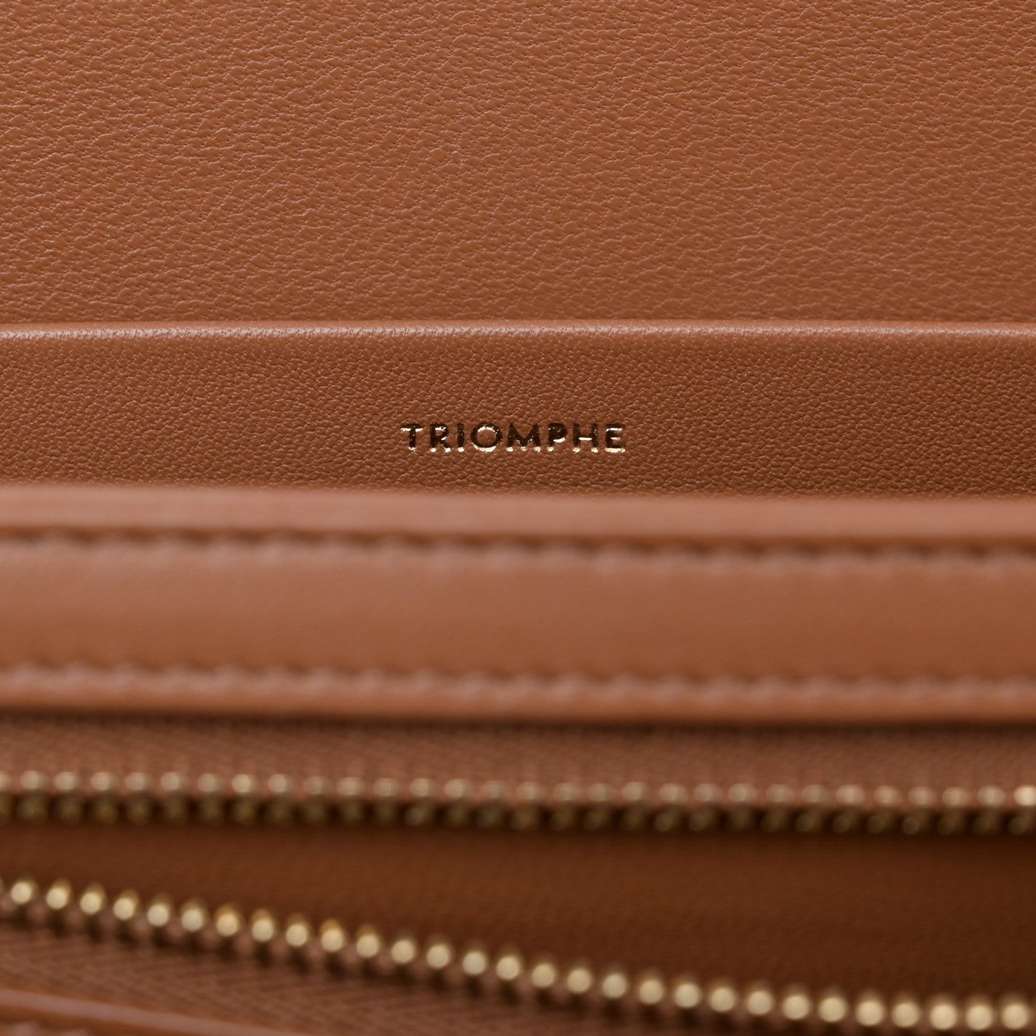 Celine Triomphe Canvas Calfskin Medium Triomphe Bag Tan 8 of 11