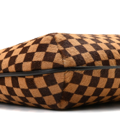 Louis Vuitton Calf Hair Damier Sauvage Tigre 7 of 10
