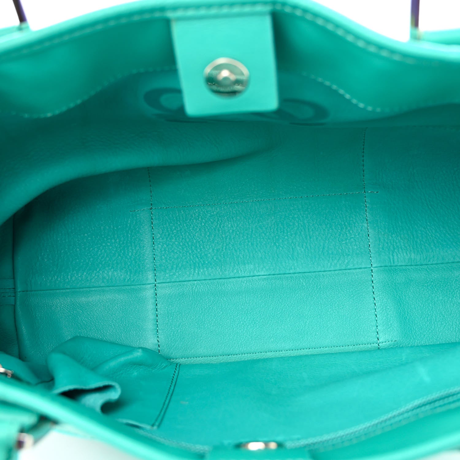 Loewe Suede Calfskin Amazona Turquoise 5 of 10