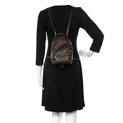 Louis Vuitton Monogram Palm Springs Backpack Mini 2 of 10