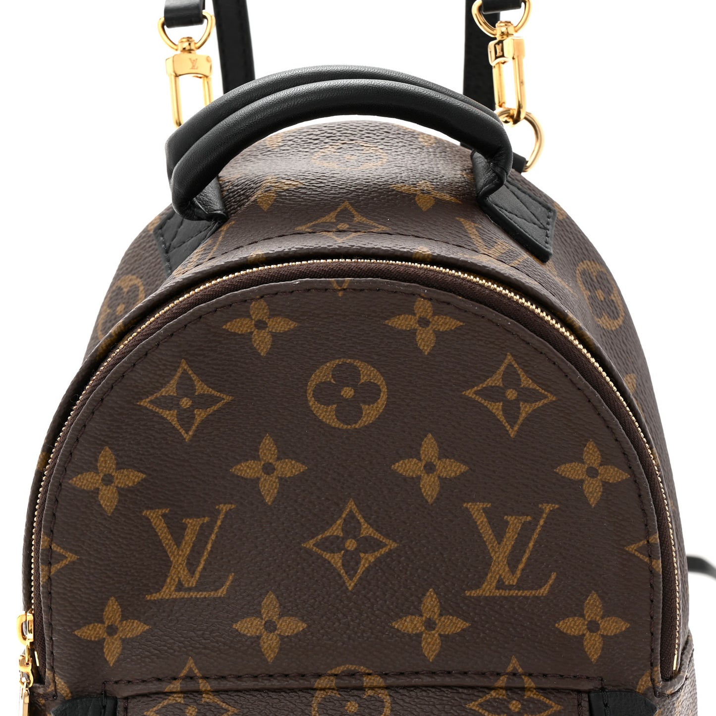 Monogram Palm Springs Backpack Mini