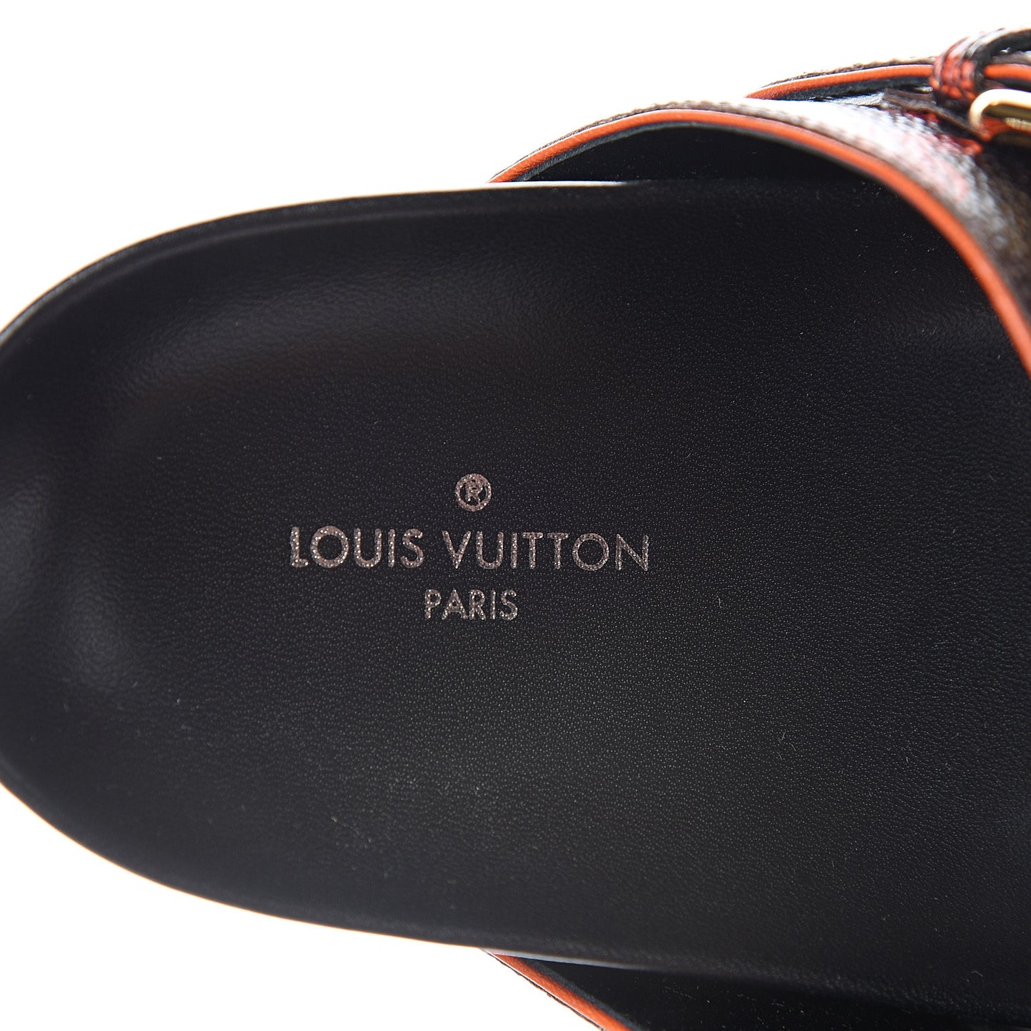 Catogram Bom Dia Flat Mule 38 Black Marron
