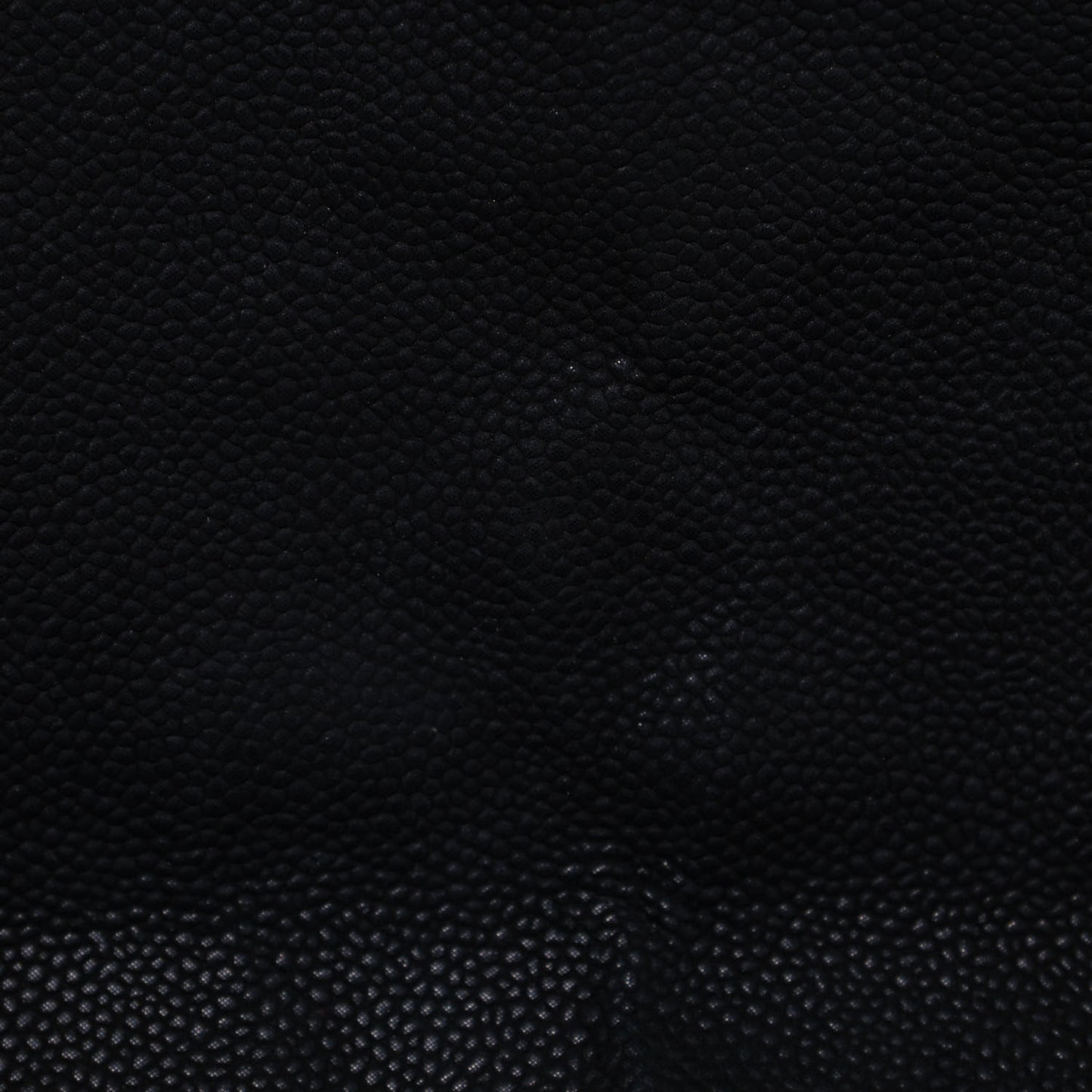 Iridescent Caviar Quilted Medium Lady Pearly Flap Black