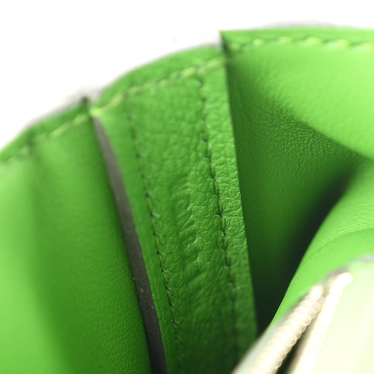 Evercolor Swift 24/24 21 Vert Yucca
