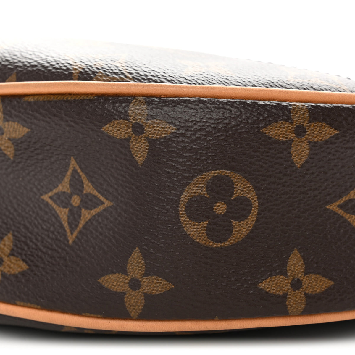 Louis Vuitton Monogram Loop 8 of 8