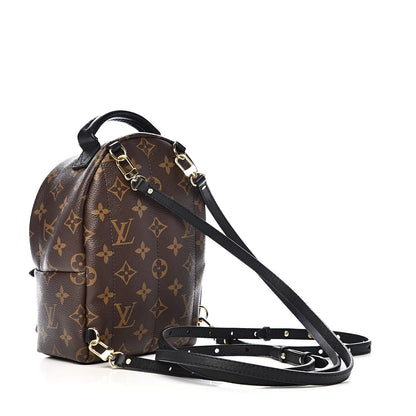 Louis Vuitton Monogram Palm Springs Backpack Mini 3 of 10
