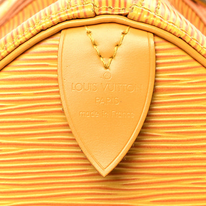 Louis Vuitton Epi Speedy 25 Tassil 6 of 9