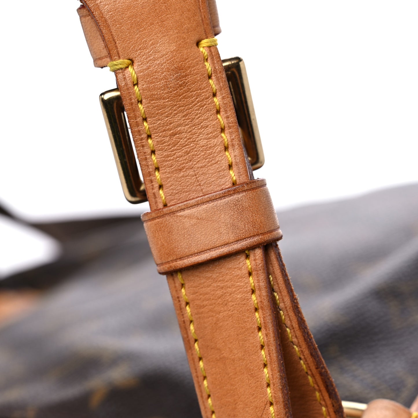 Monogram Montsouris GM Backpack