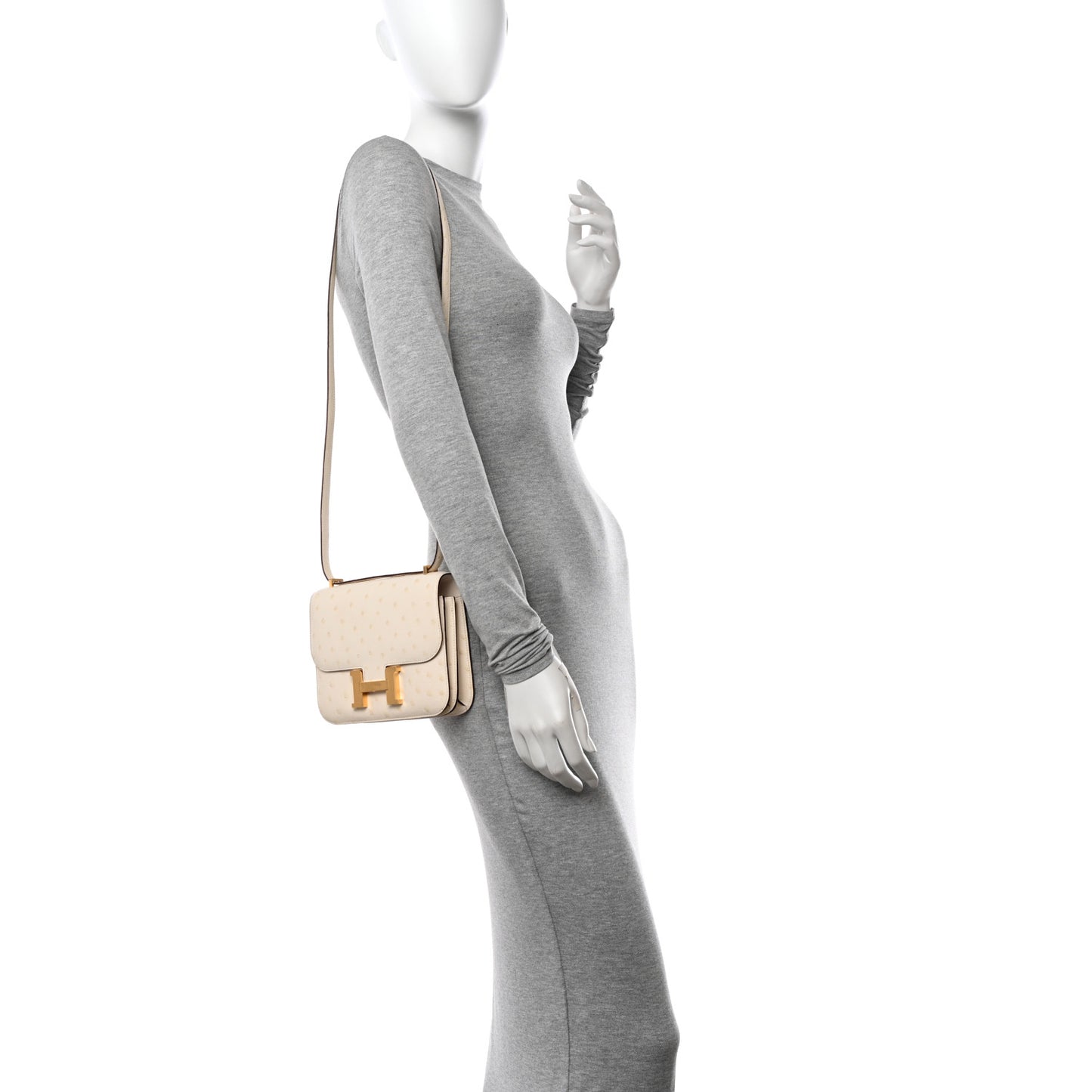 Ostrich Constance 18 Nata