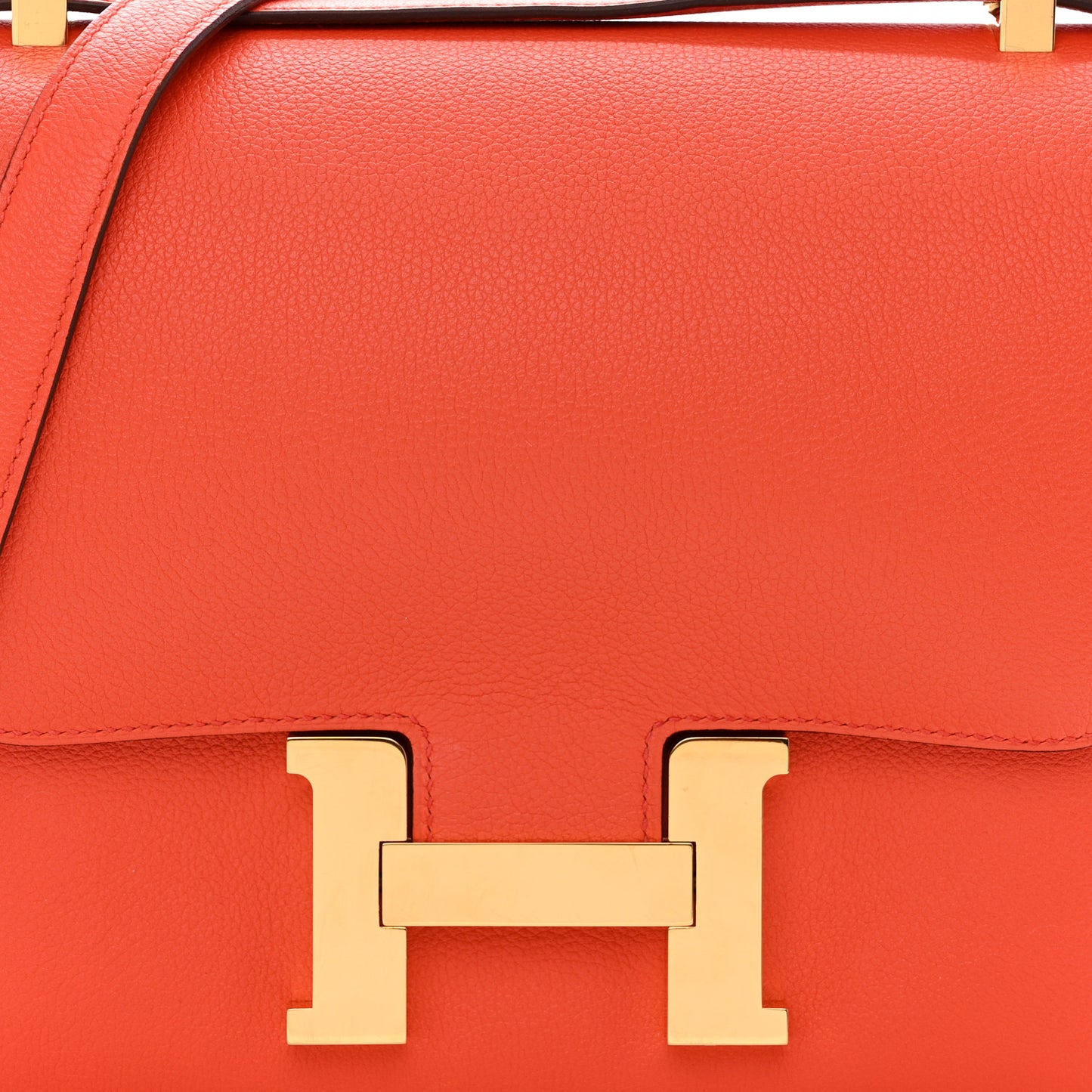 Evercolor Constance 24 Orange Poppy