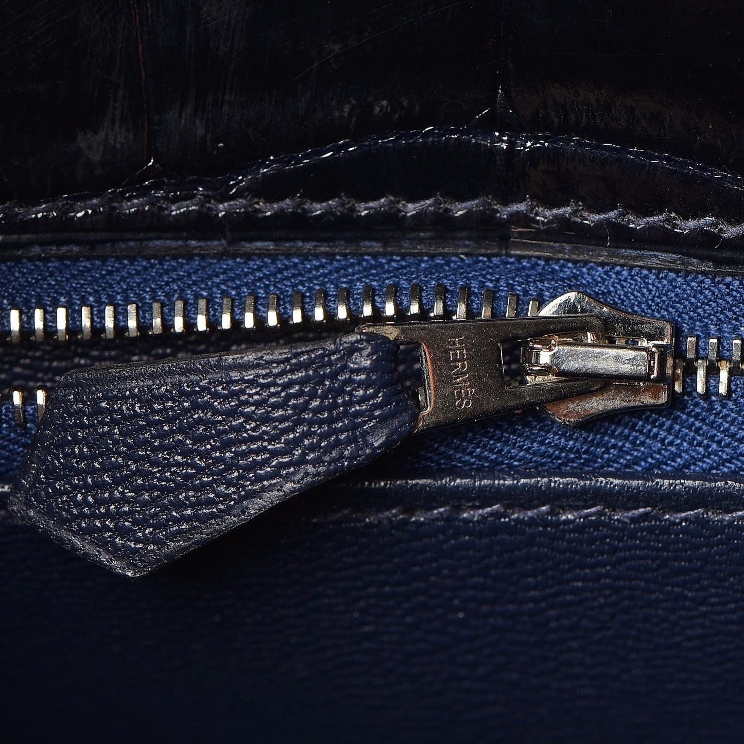 Shiny Niloticus Crocodile Kelly Sellier 32