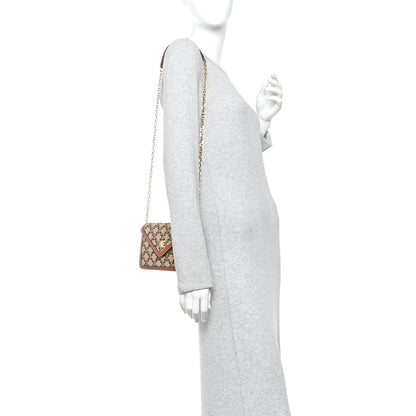 Celine Raffia Jacquard Calfskin Triomphe Wallet on Chain Natural Tan 2 of 10