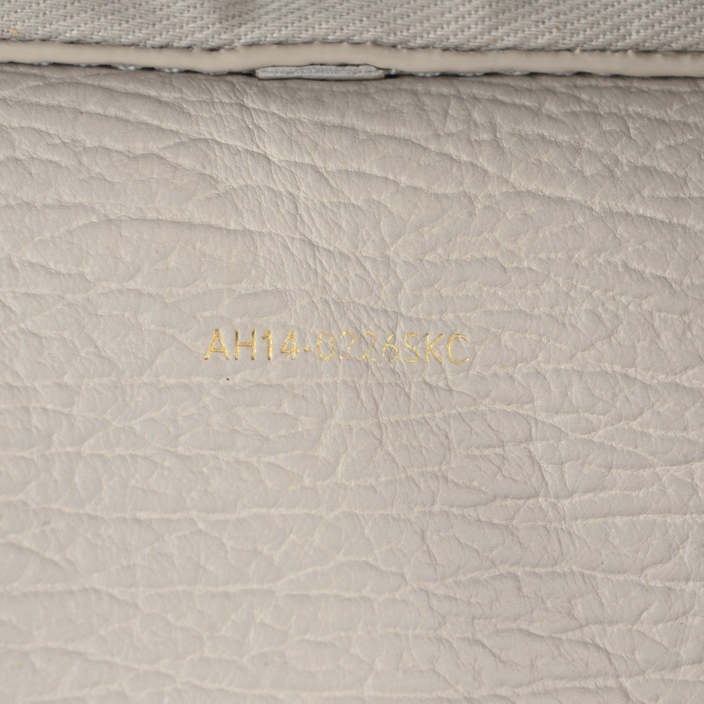 3.1 Textured Calfskin Mini Pashli Satchel Feather