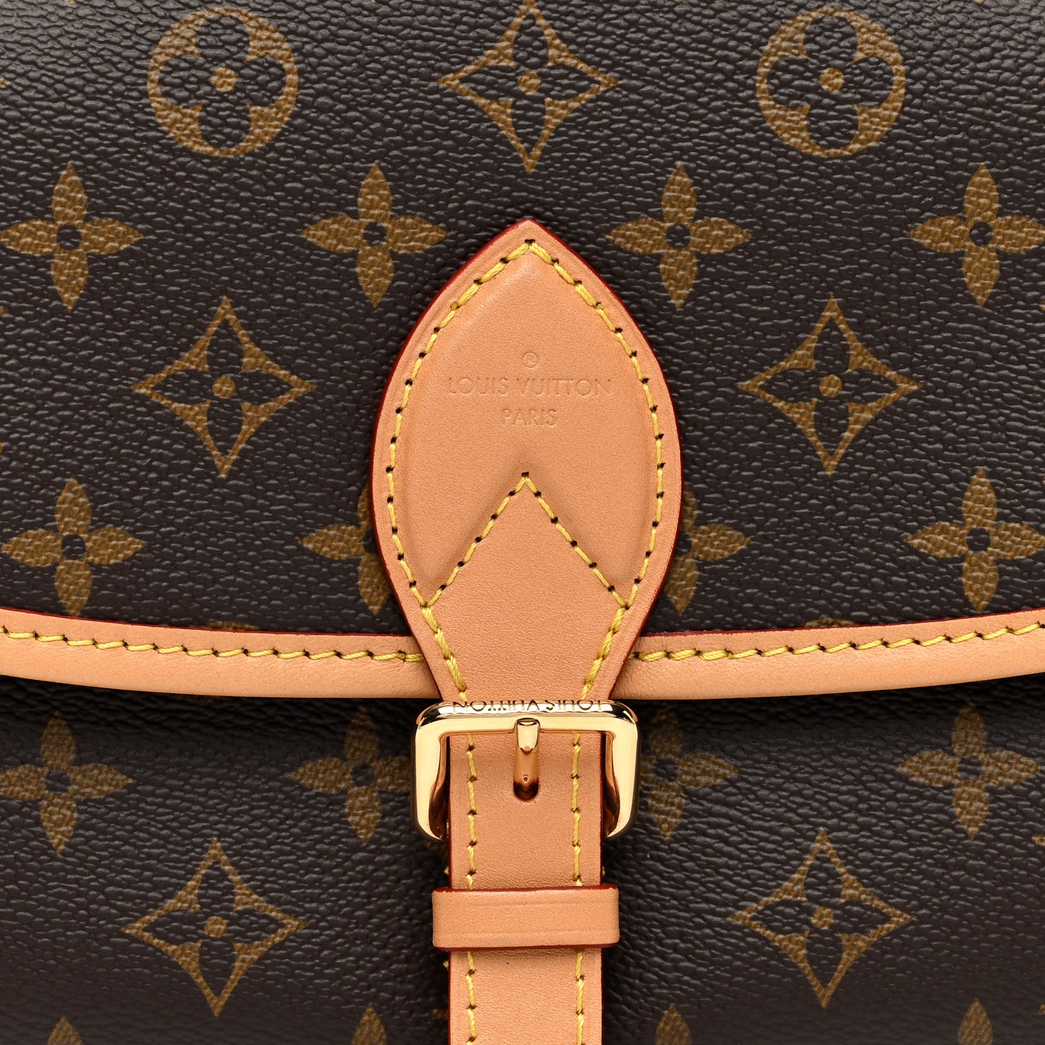 Louis Vuitton Monogram Diane 7 of 9