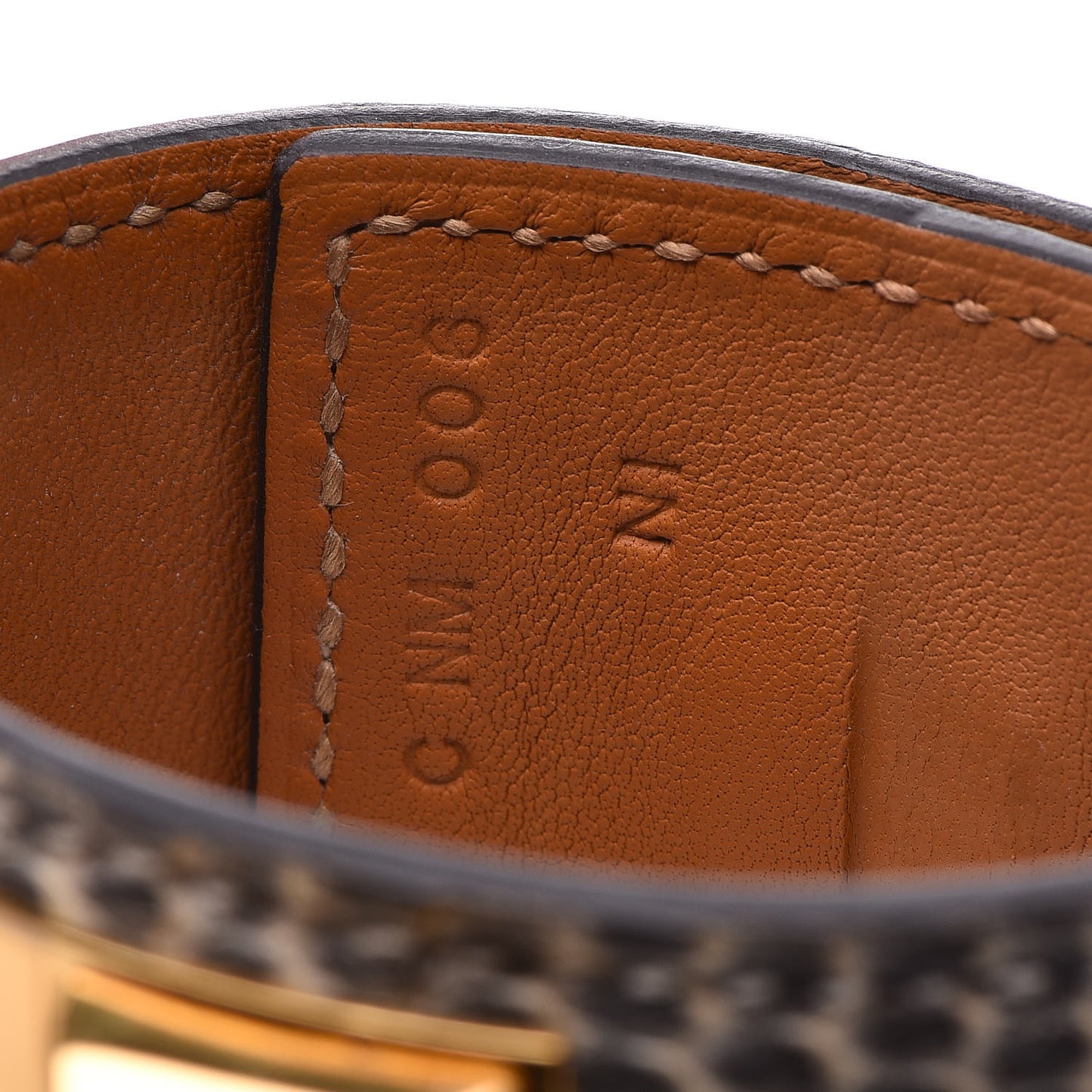 Lizard Collier De Chien CDC Bracelet T2 Ombre