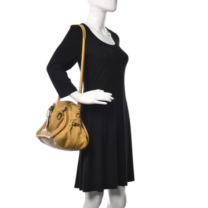 Chloe Calfskin Medium Paraty Mustard 3 of 16
