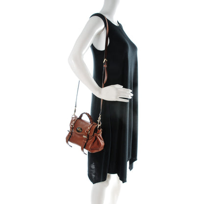 Mulberry Soft Buffalo Mini Alexa Oak 2 of 7