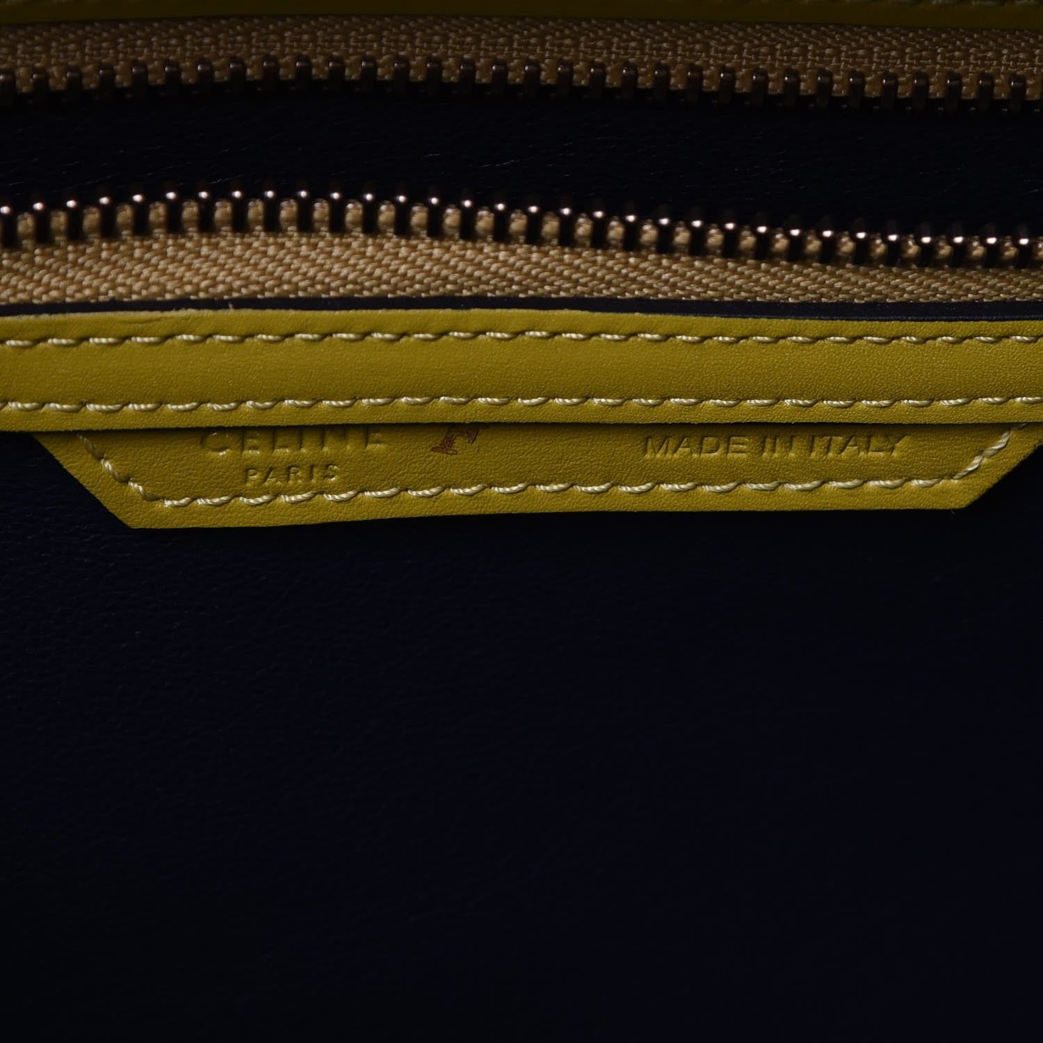 Celine Palmelato Mini Luggage Chartreuse 9 of 12