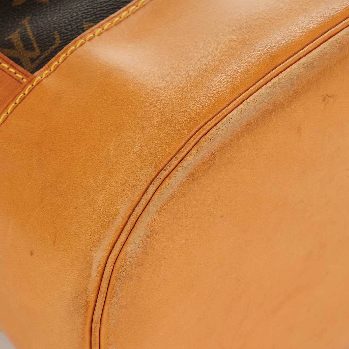 Monogram Randonnee GM Backpack